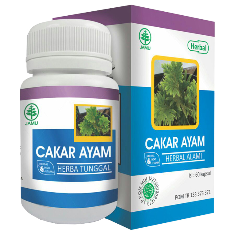 Cakar Ayam Hiu - HIU09