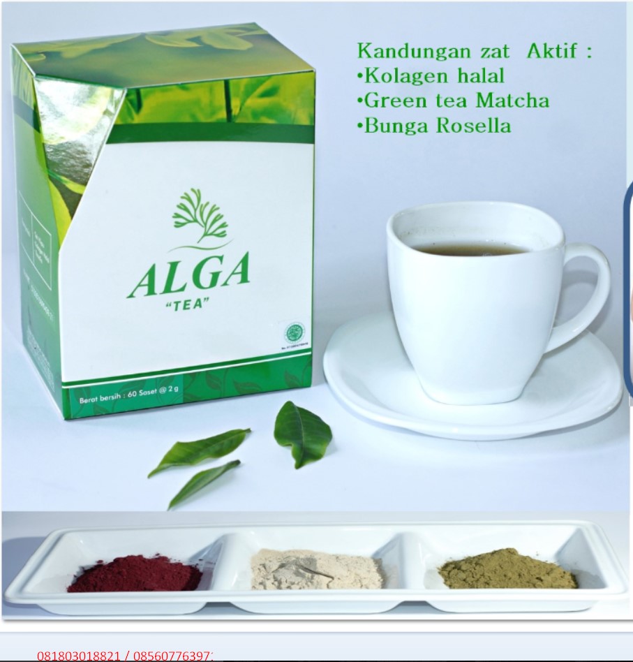 Alga Tea Box Algatea 60 Sacet